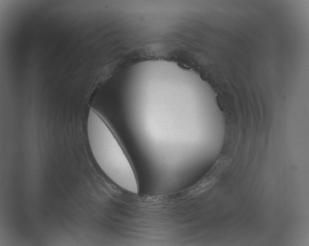 X0000073390624200607280910