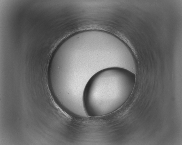 X0000073390625200607280910