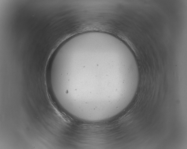 X0000073390626200607280910