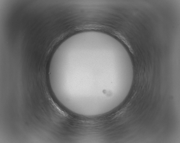 X0000073390633200607280910