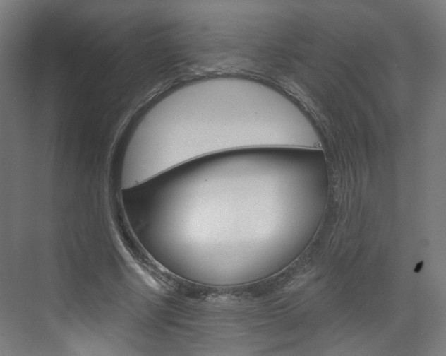 X0000073390634200607280910