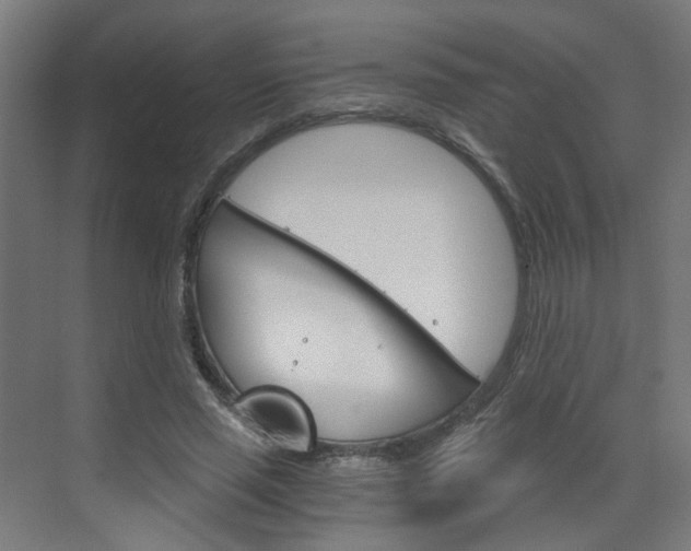 X0000073390637200607280910