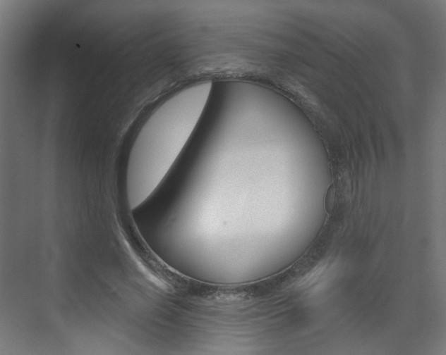 X0000073390638200607280910