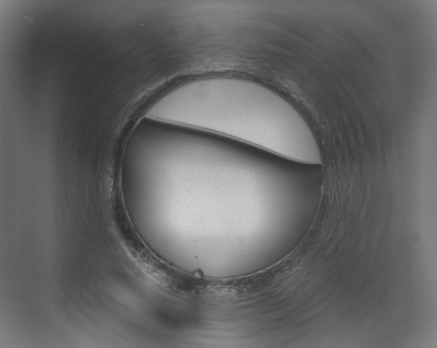 X0000073390640200607280910