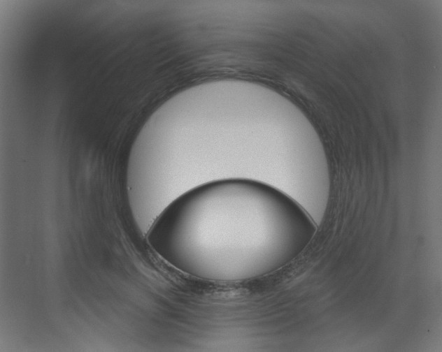 X0000073390646200607280910