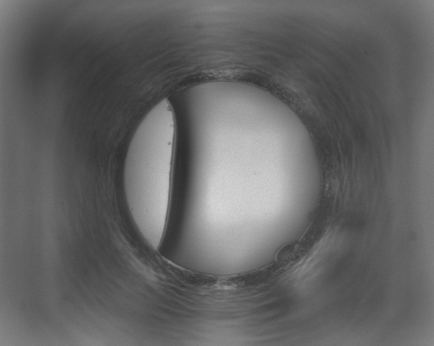 X0000073390647200607280910