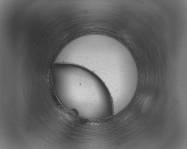 X0000073390649200607280910