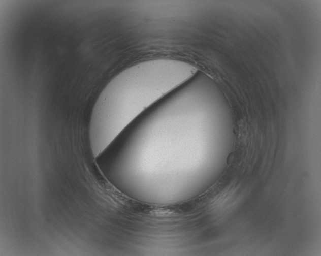 X0000073390650200607280910
