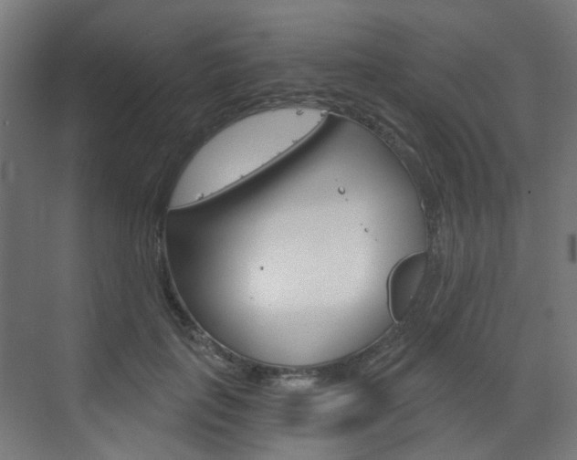 X0000073390651200607280910