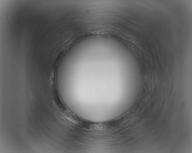 X0000073390652200607280910