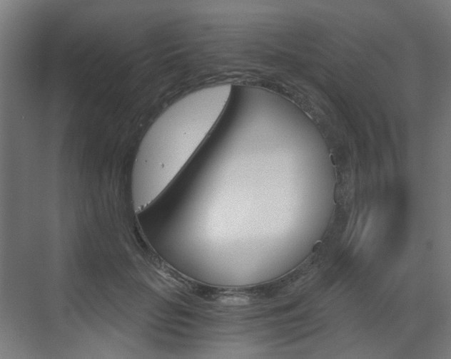 X0000073390653200607280910