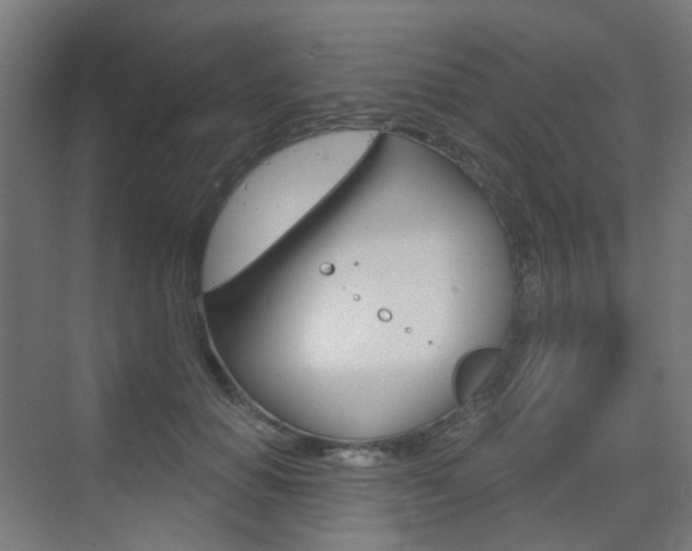 X0000073390654200607280910