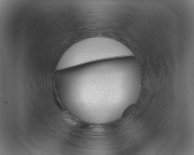 X0000073390658200607280910