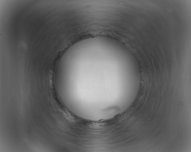 X0000073390664200607280910