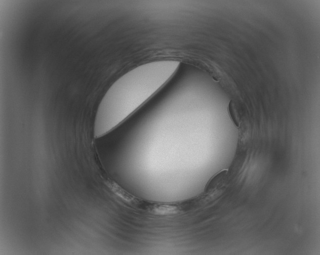 X0000073390669200607280910