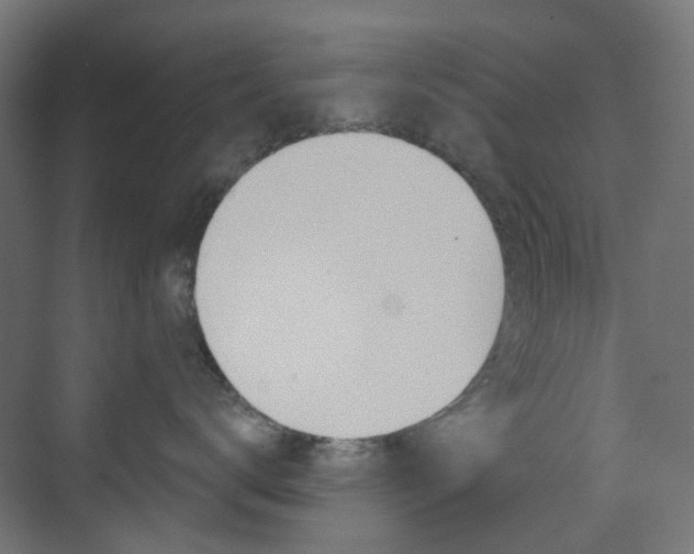 X0000073390672200607280910