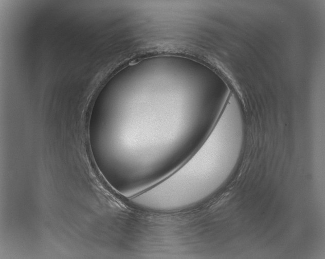 X0000073390673200607280910