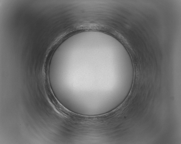 X0000073390674200607280910
