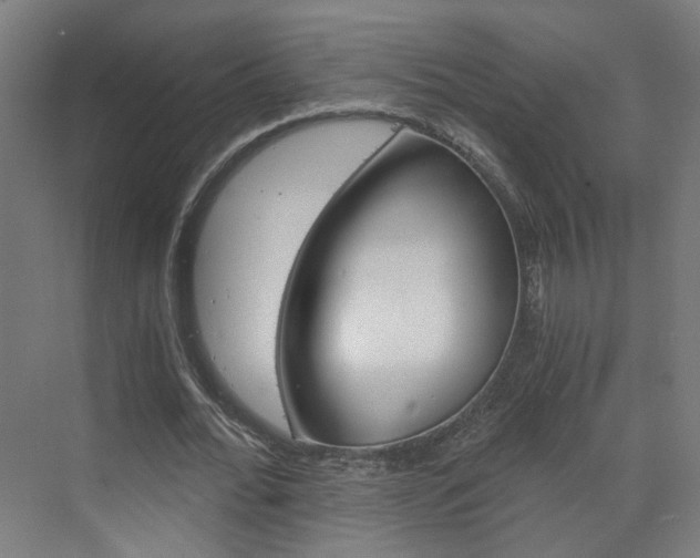 X0000073390676200607280910