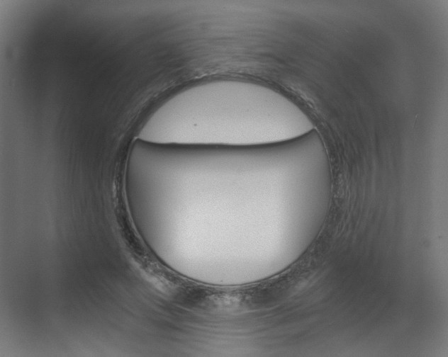 X0000073390687200607280909