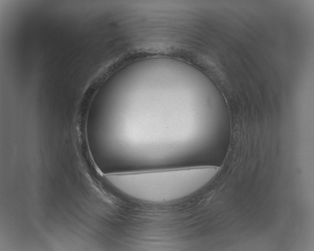 X0000073390688200607280909