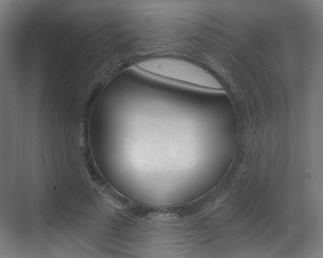 X0000073390689200607280909