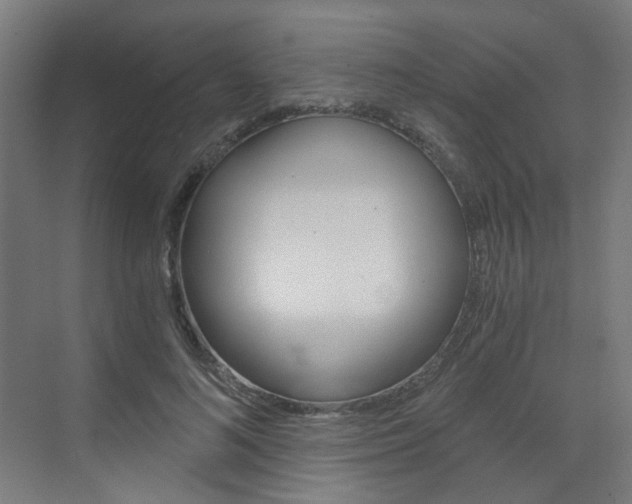 X0000073390692200607280909