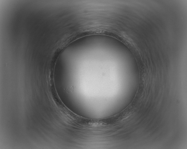 X0000073390693200607280909