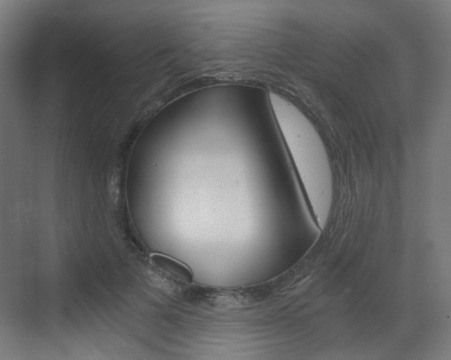 X0000073390697200607280909