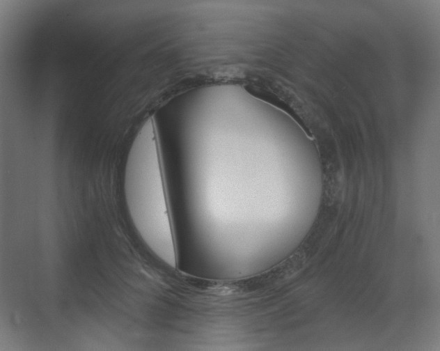 X0000073390704200607280909