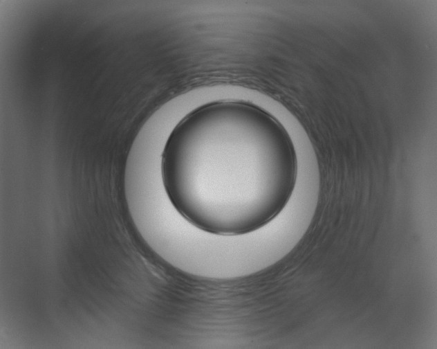 X0000073390712200607280909