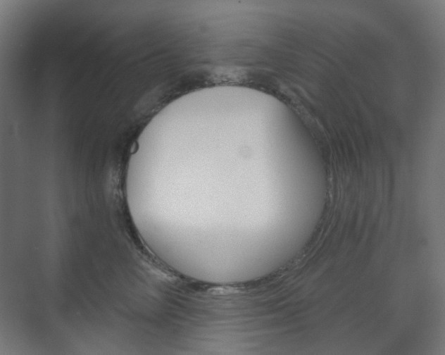 X0000073390714200607280909