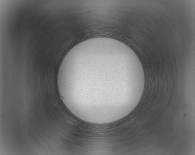 X0000073390716200607280909