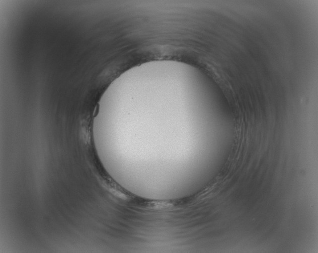 X0000073390719200607280909