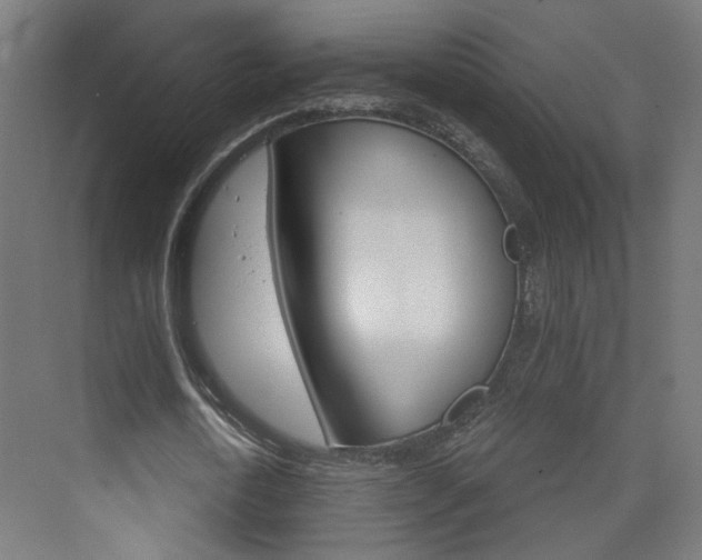 X0000073390722200607280908