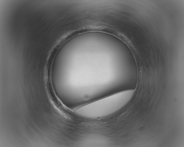 X0000073390726200607280908