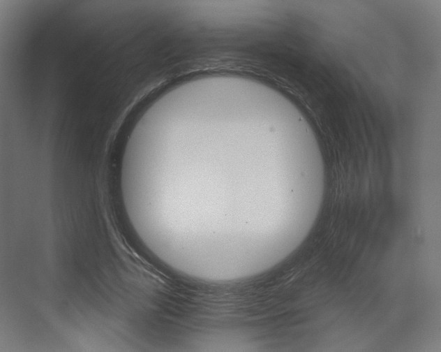 X0000073390731200607280908