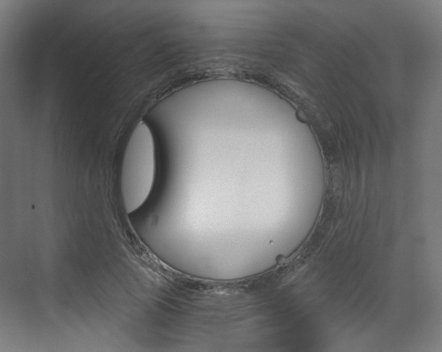 X0000073390737200607280908