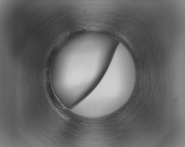 X0000073390738200607280908