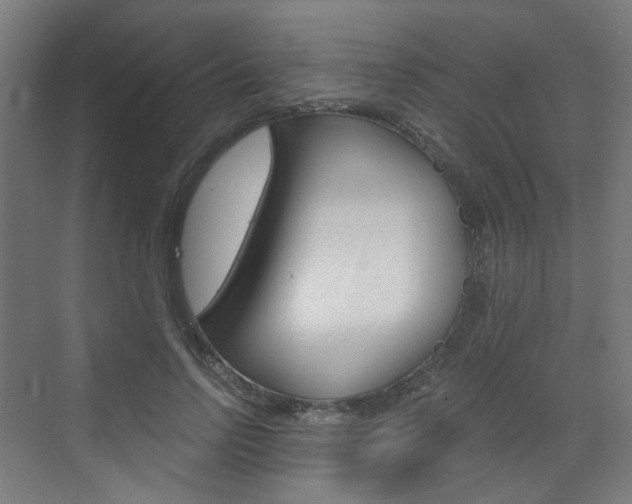 X0000073390742200607280908