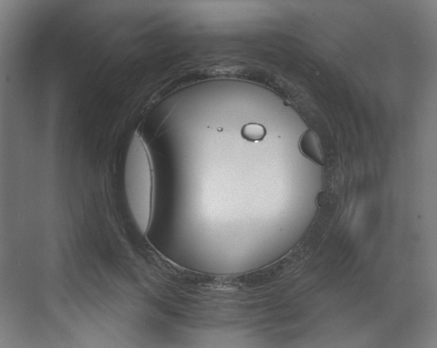 X0000073390743200607280908