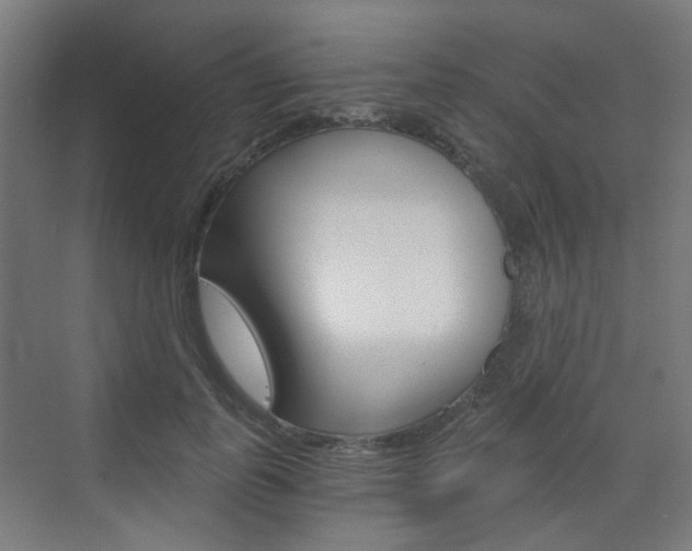 X0000073390747200607280908