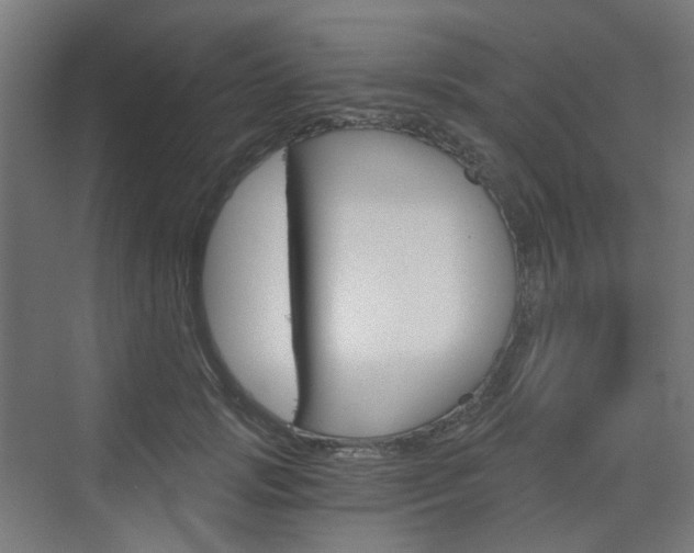 X0000073390749200607280908