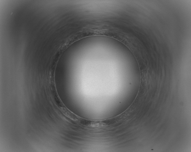 X0000073390752200607280909