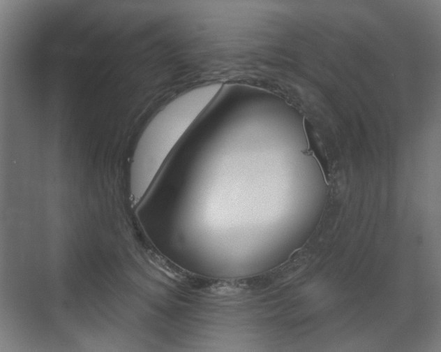 X0000073390756200607280909
