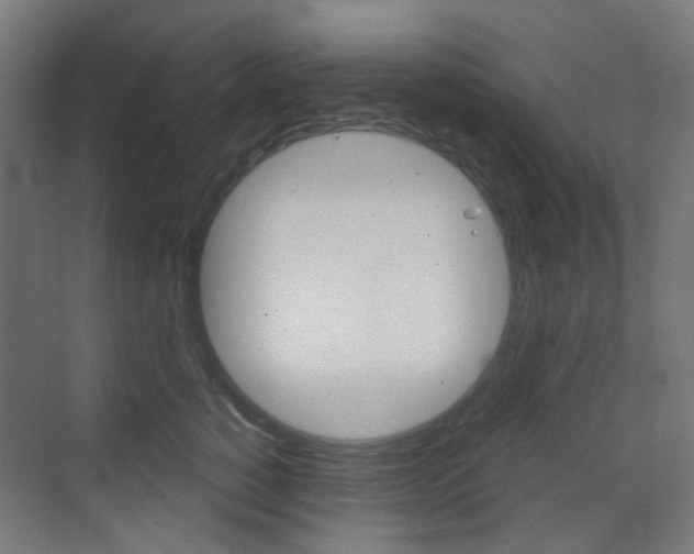 X0000073390760200607280909