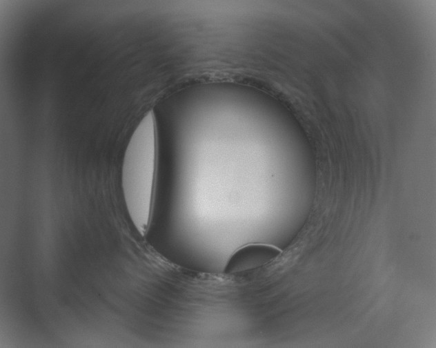 X0000073390768200607280909