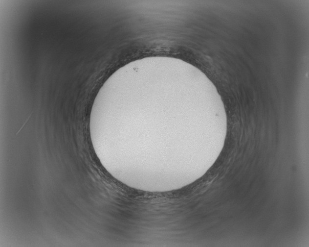 X0000073390769200607280908