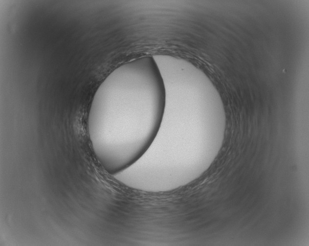 X0000073390770200607280908