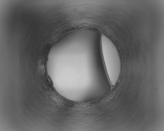 X0000073390771200607280908